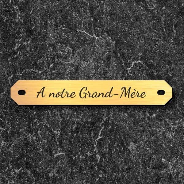 Plaque chanfrein